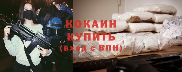 шишки Аркадак