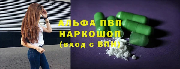 шишки Аркадак