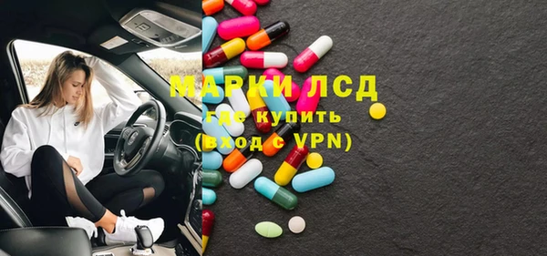 шишки Аркадак