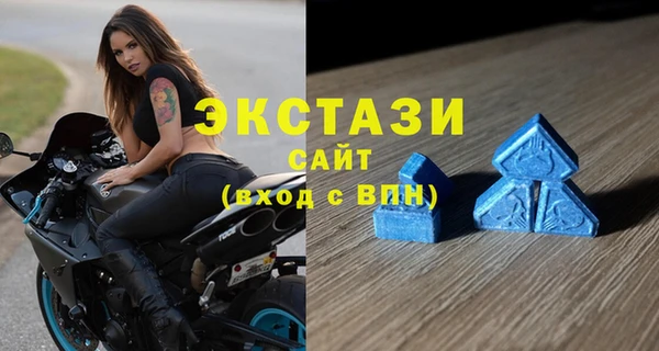шишки Аркадак